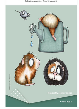 Vaessen Creative • Timbri Trasparenti Guinea Pigs 4 7pz