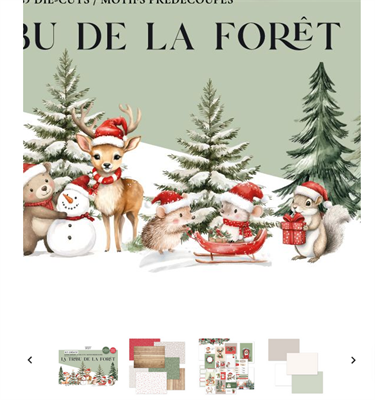Kit créatif 15x20 LA TRIBU DE LA FORÊT