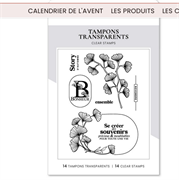 TIMBRI STORY D'AUTOMNE