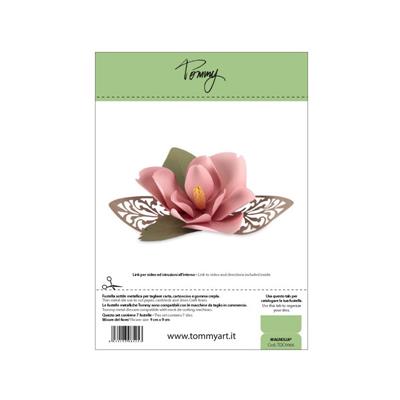 Tommy Fustella Magnolia