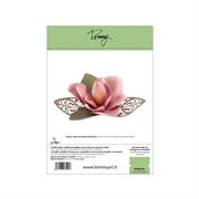 Tommy Fustella Magnolia