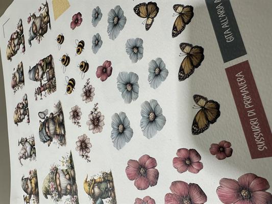 die cut sussurri di primavera